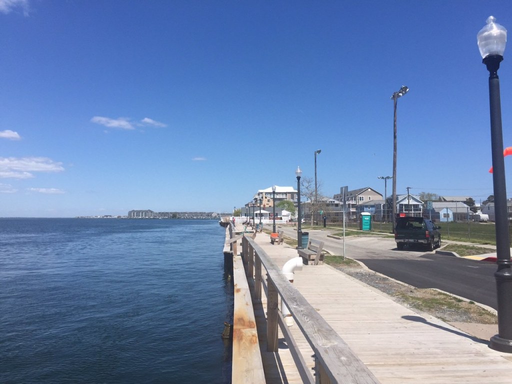 Picture of: rd Street Pier – Fishing Reports & News Ocean City MD Tournaments